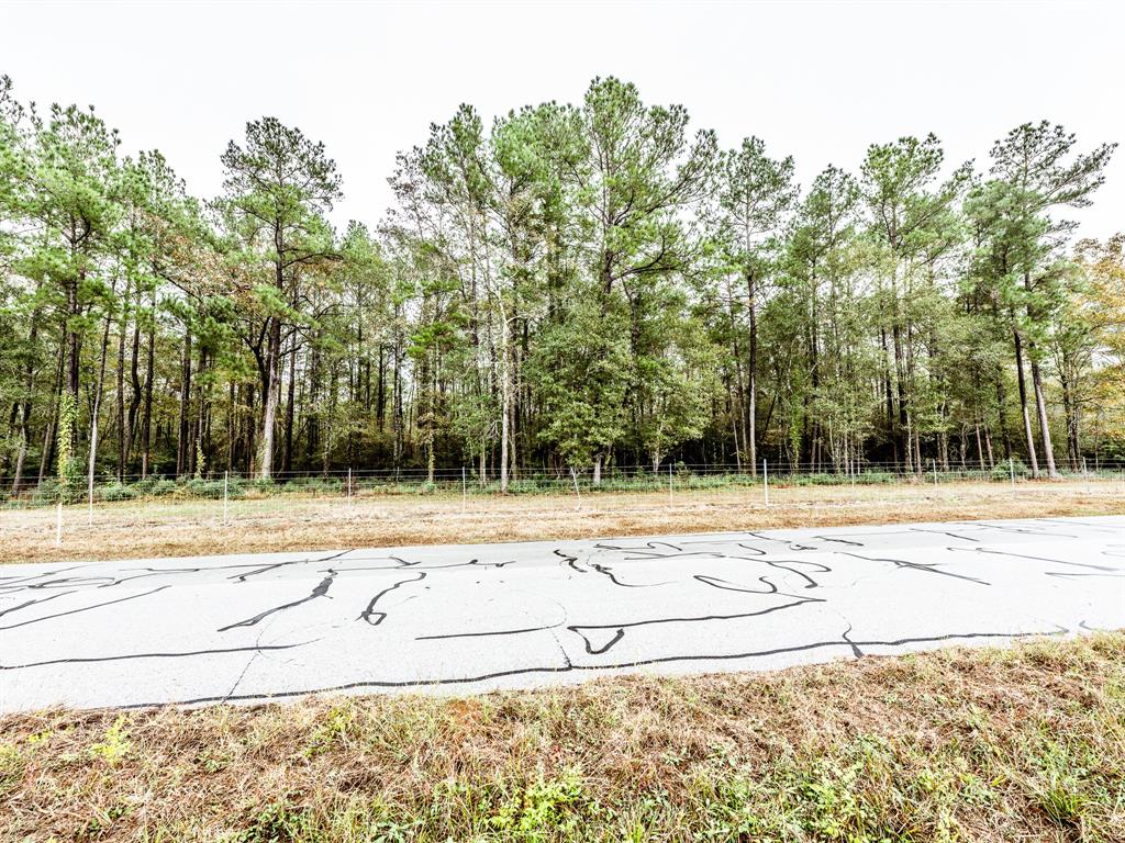 Jones Road, New Waverly, Texas image 7