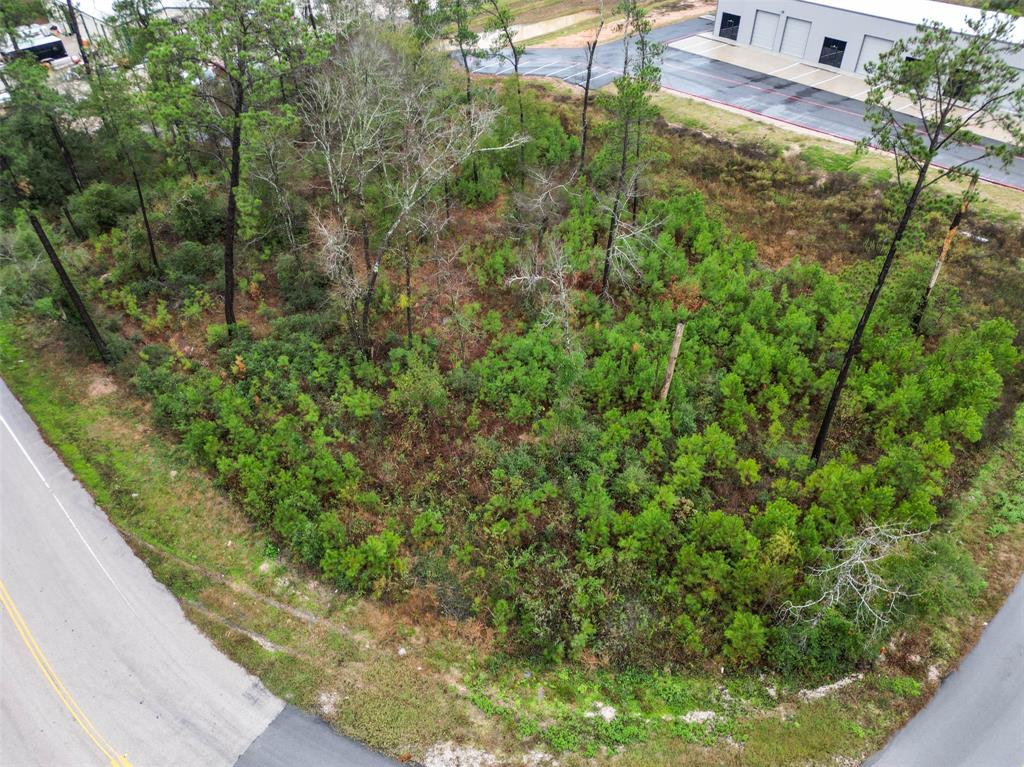 18417 Keenan Cut Off Road, Montgomery, Texas image 10