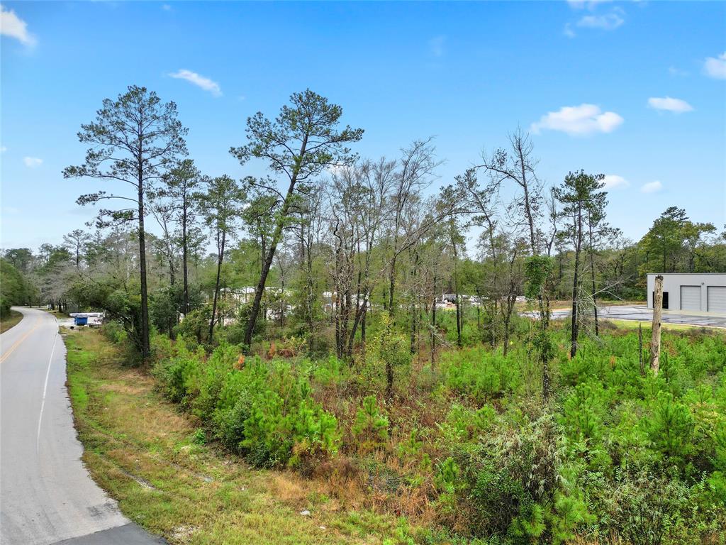 18417 Keenan Cut Off Road, Montgomery, Texas image 7