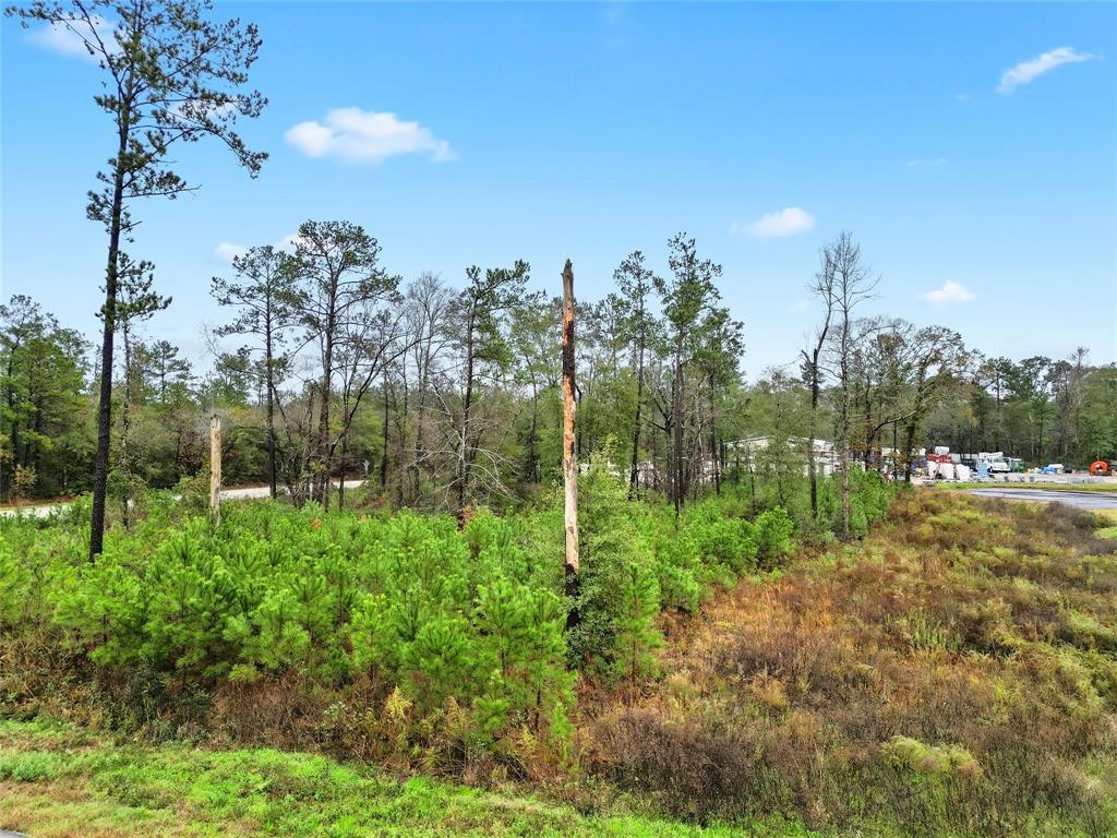 18417 Keenan Cut Off Road, Montgomery, Texas image 9