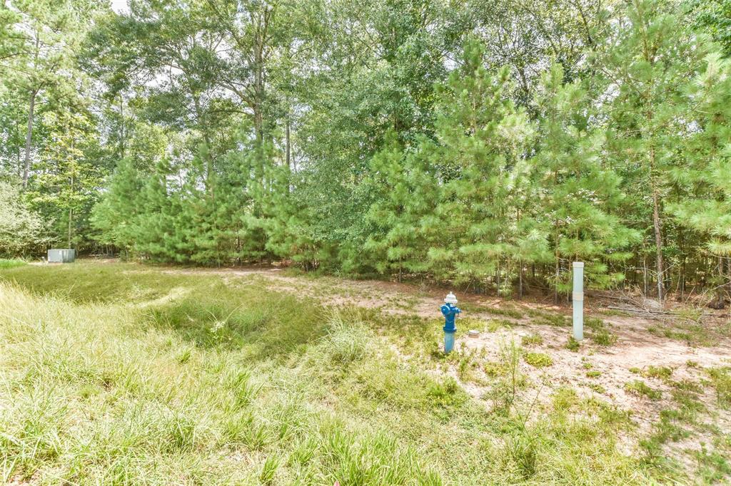 427 Mendecino Glen Court, Huffman, Texas image 17