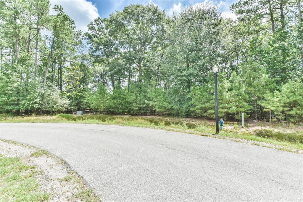 427 Mendecino Glen Court, Huffman, Texas image 13