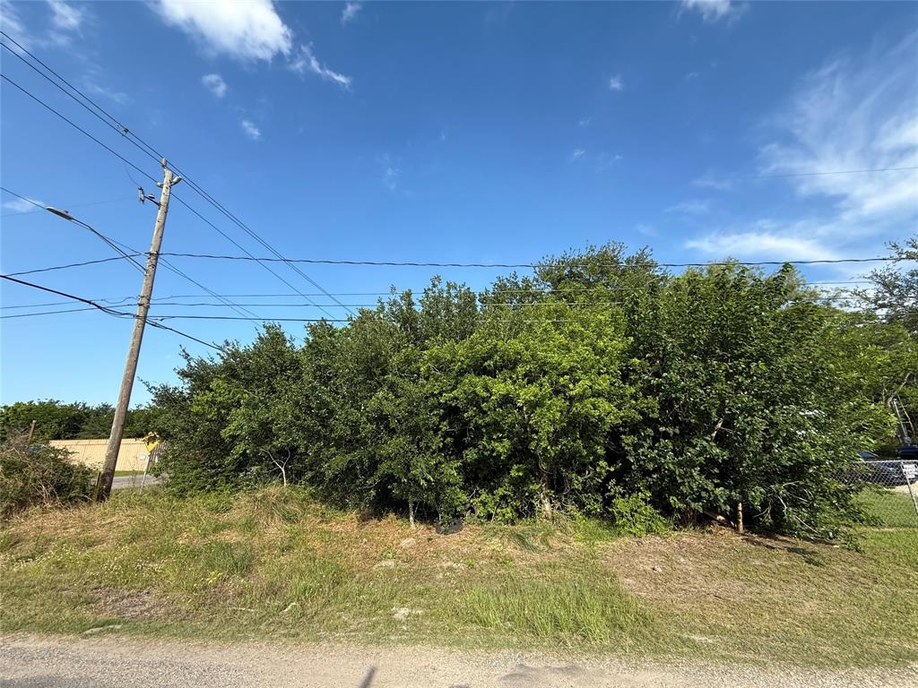 203 11th, San Leon, Texas image 7