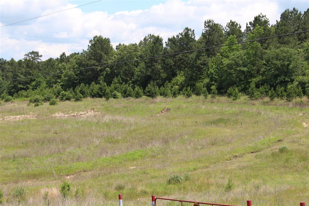 Tract 71 Private Road 1315, Centerville, Texas image 11