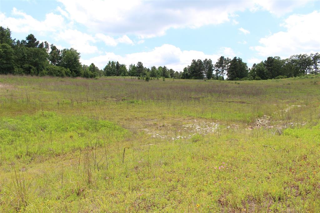Tract 71 Private Road 1315, Centerville, Texas image 13