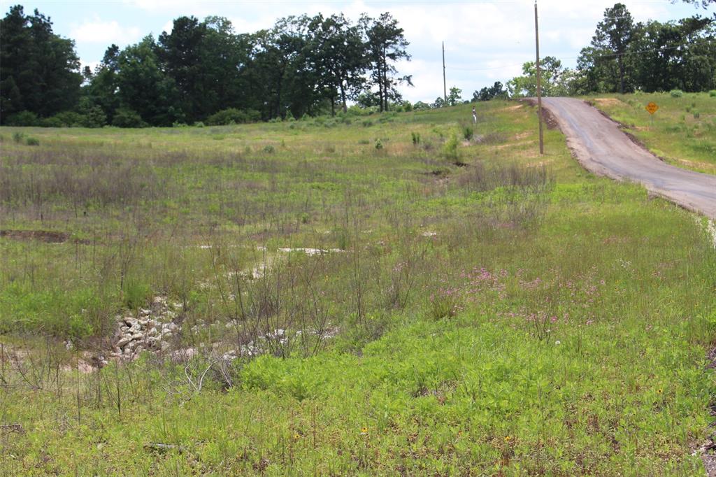 Tract 71 Private Road 1315, Centerville, Texas image 15