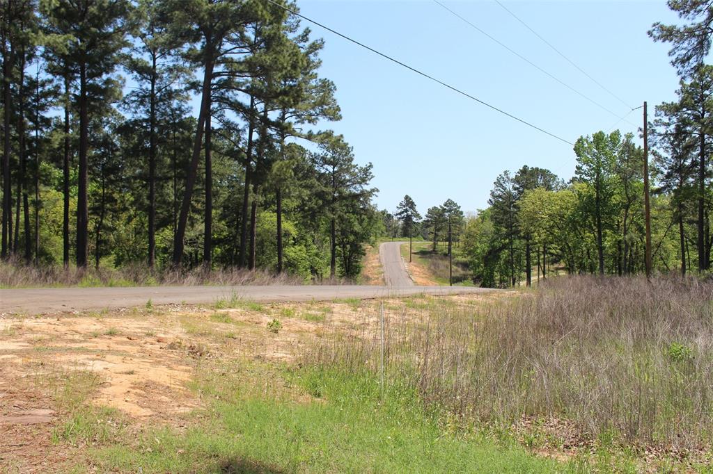 Tract 71 Private Road 1315, Centerville, Texas image 7