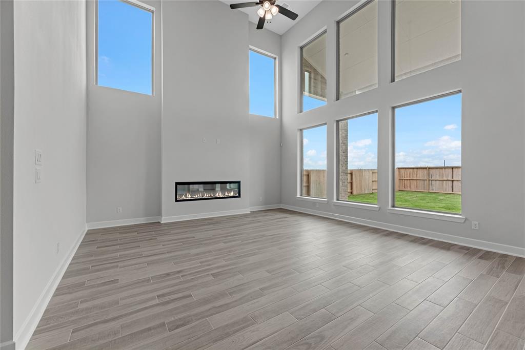 16238 Blue Mistflower Lane