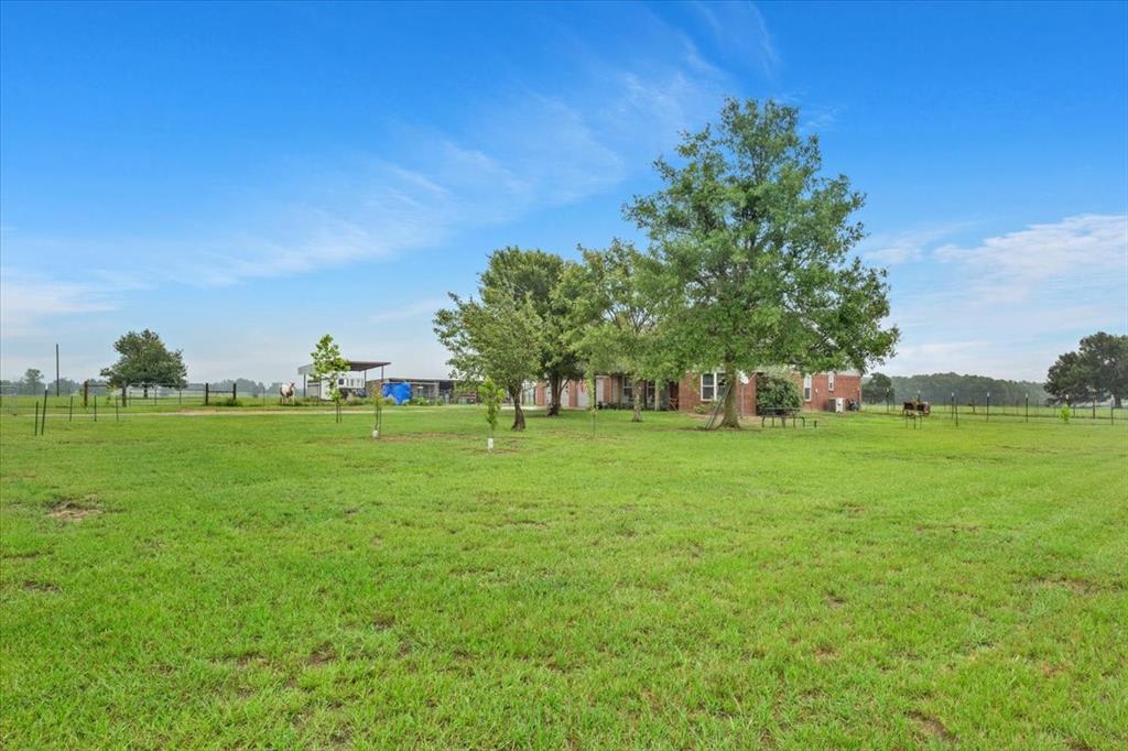 285 Lcr 516, Mexia, Texas image 3