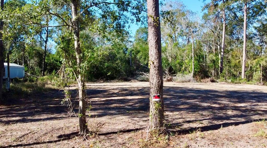 21064 Idle Glen Roadway, New Caney, Texas image 3