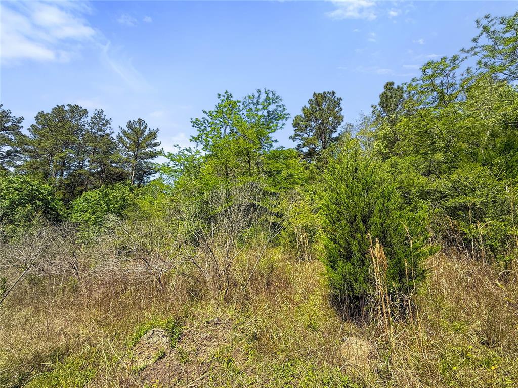 TBD Hwy 1745, Colmesneil, Texas image 18