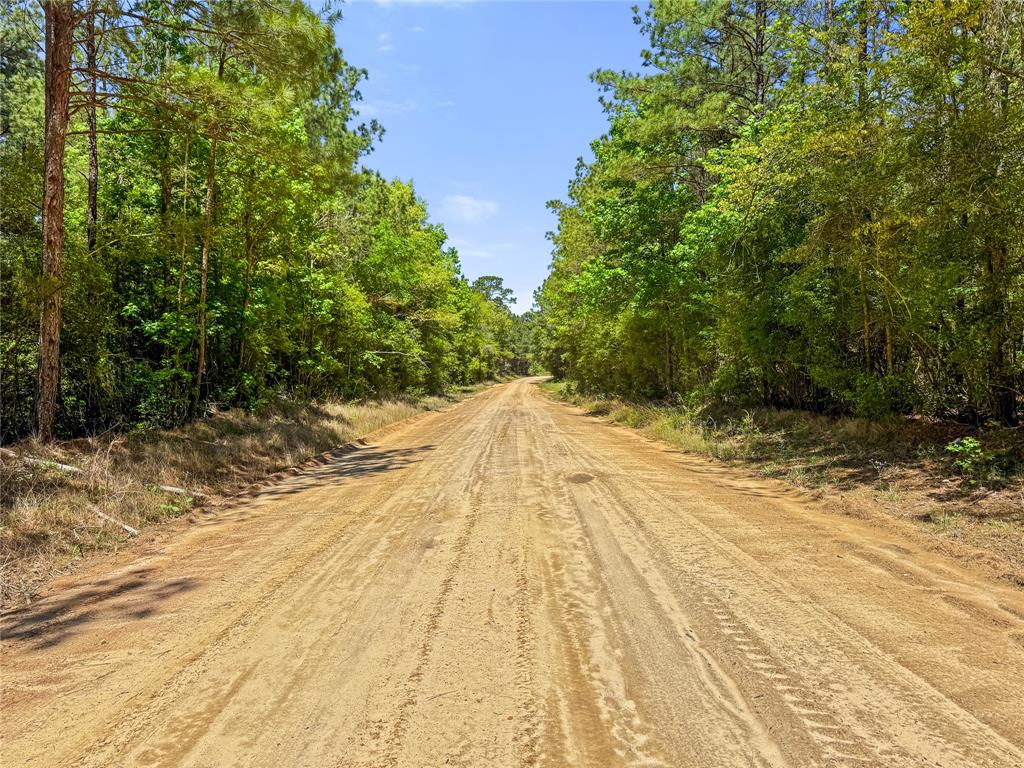 TBD Hwy 1745, Colmesneil, Texas image 4