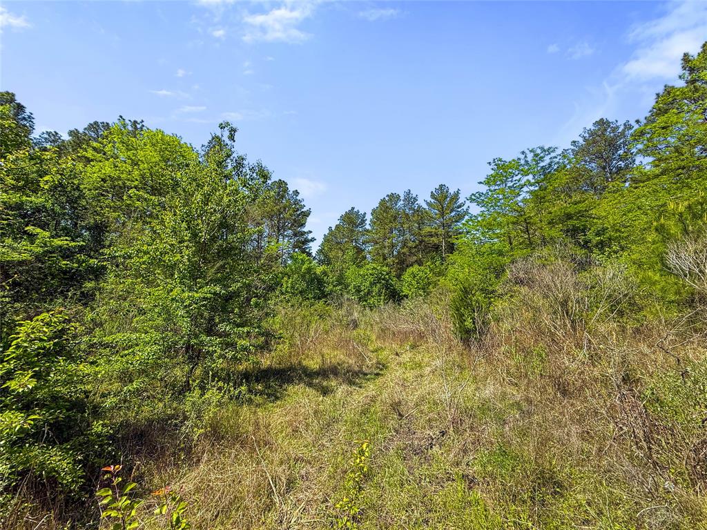 TBD Hwy 1745, Colmesneil, Texas image 19