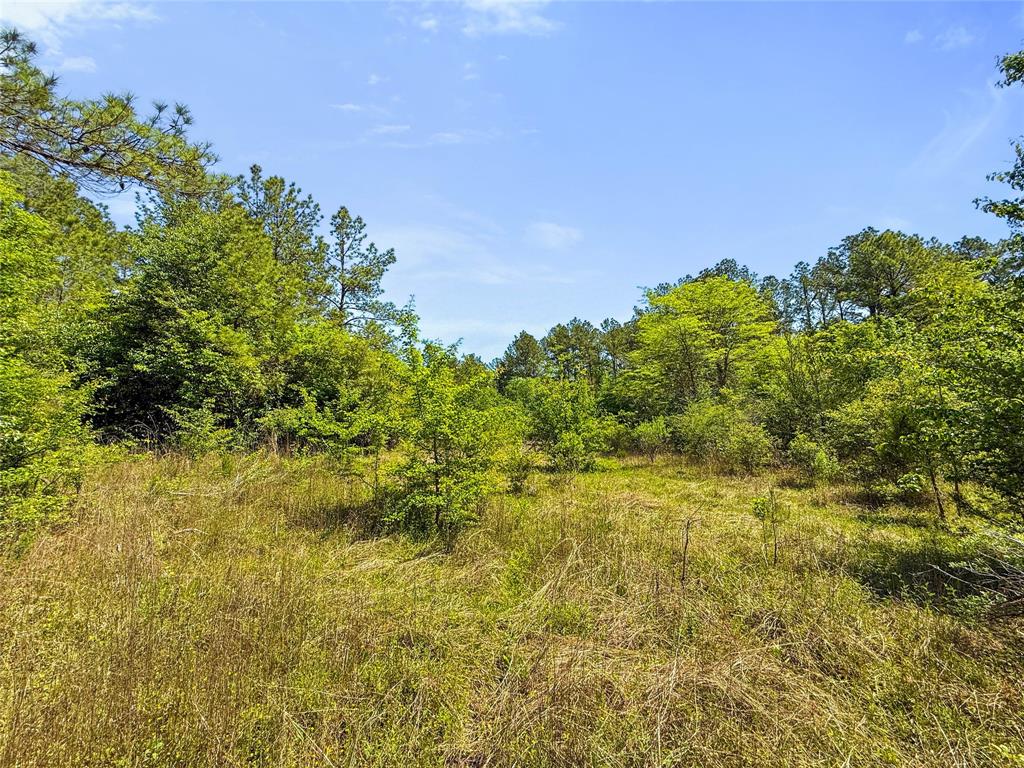 TBD Hwy 1745, Colmesneil, Texas image 26
