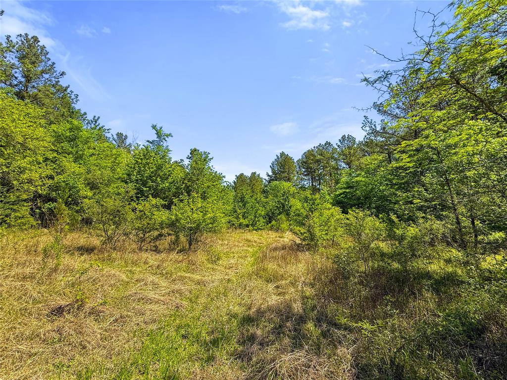 TBD Hwy 1745, Colmesneil, Texas image 27