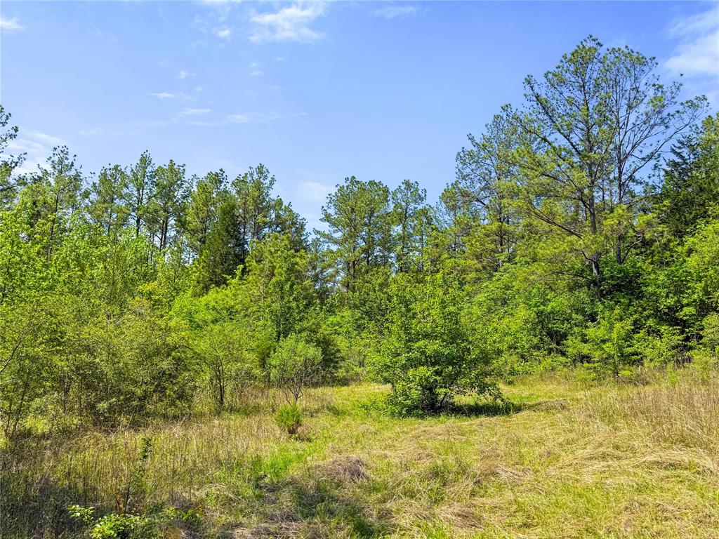 TBD Hwy 1745, Colmesneil, Texas image 29