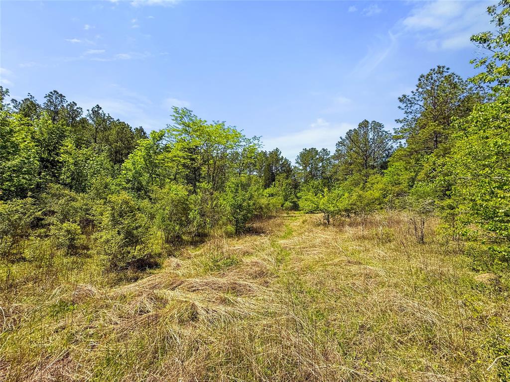 TBD Hwy 1745, Colmesneil, Texas image 28