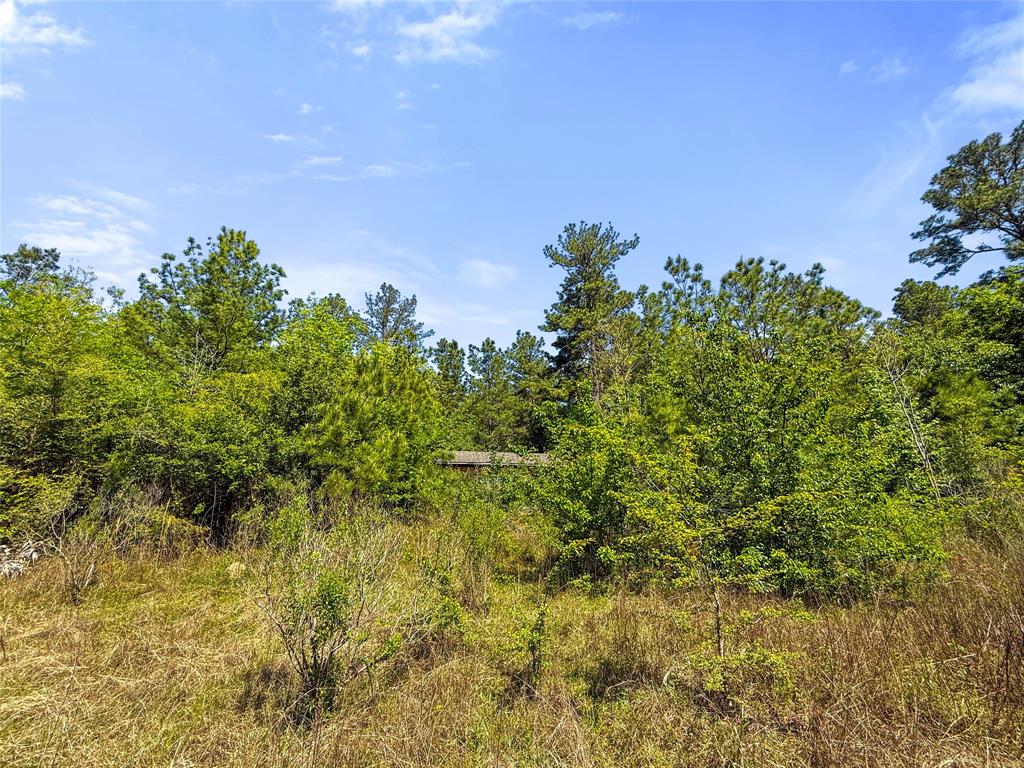TBD Hwy 1745, Colmesneil, Texas image 23