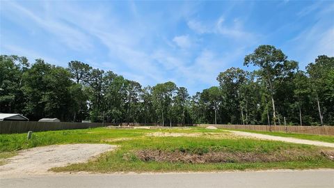 Photo of 369 County Road 356, New Caney, TX 77357 (MLS # 32435359)
