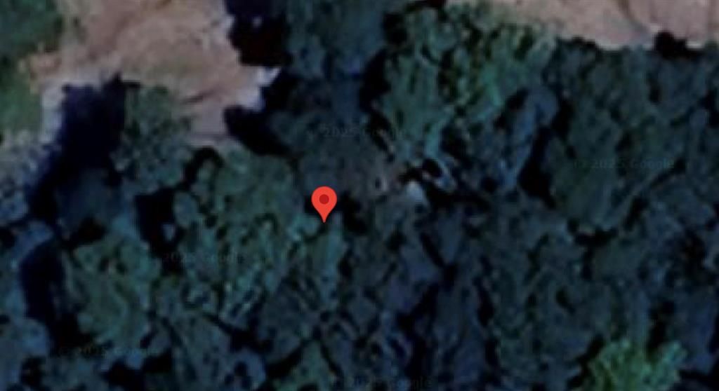 Photo of 0 Unnamed Road, New Caney, TX 77357 (MLS # 3723459)