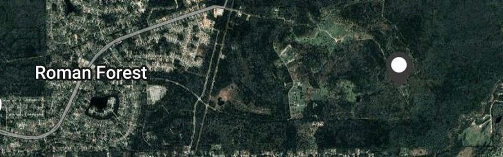 Photo of 0 Unnamed Road, New Caney, TX 77357 (MLS # 3723459)