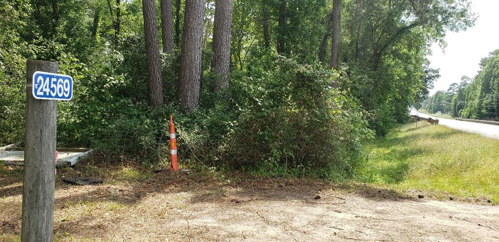 24569 Fm 1488, Magnolia, Texas image 1
