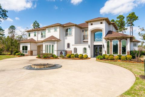 27493 S Lazy Meadow Way Spring TX 77386