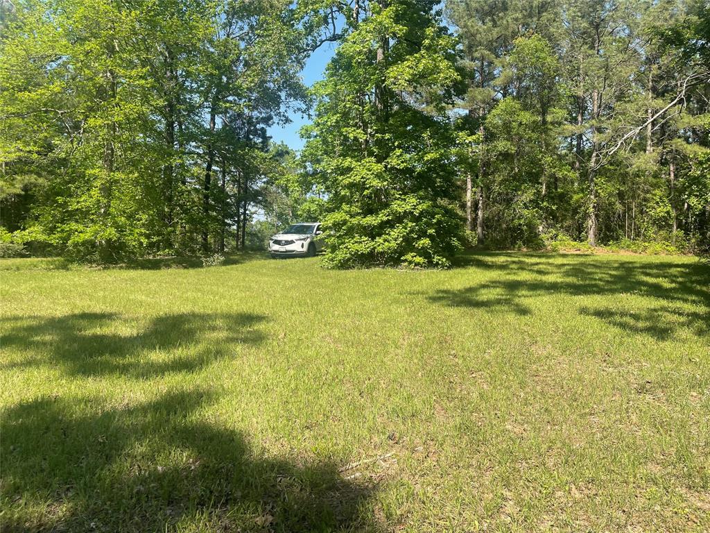 Forest Service Road 543, Kennard, Texas image 5