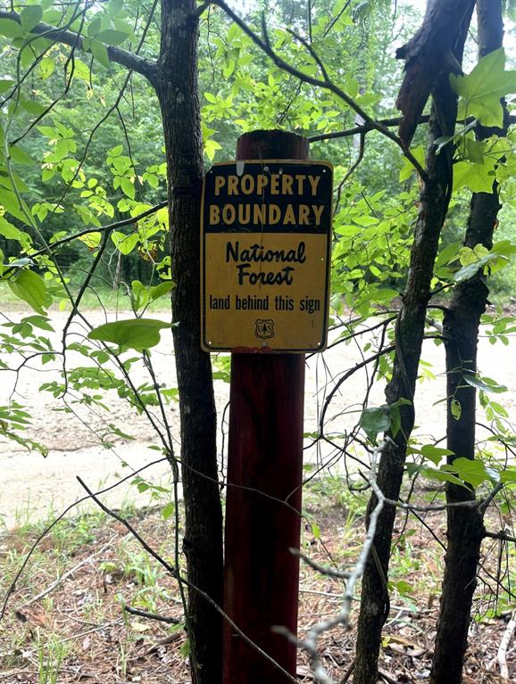 Forest Service Road 543, Kennard, Texas image 2