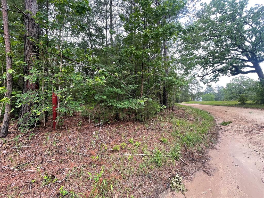 Forest Service Road 543, Kennard, Texas image 7
