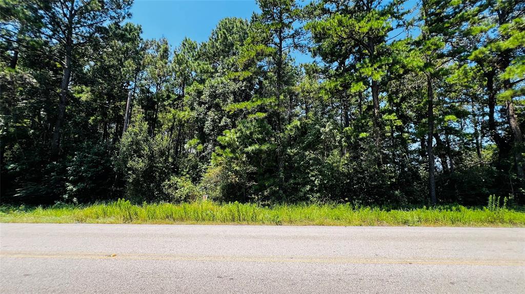 23717 Pinewood Valley Drive, Hockley, Texas image 8