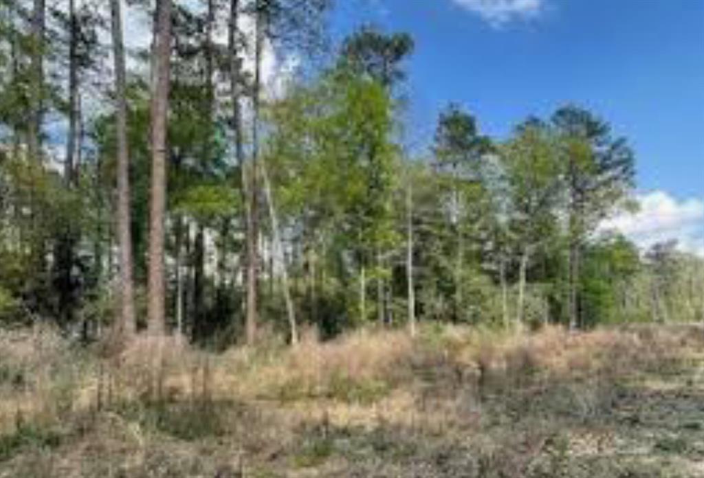 0-37 Lazy Creek Drive, New Caney, Texas image 1