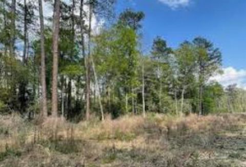 0-37 Lazy Creek Drive New Caney TX 77357