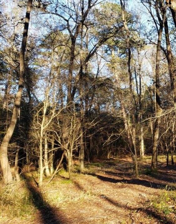 property-search 1 0-37 Lazy Creek Drive