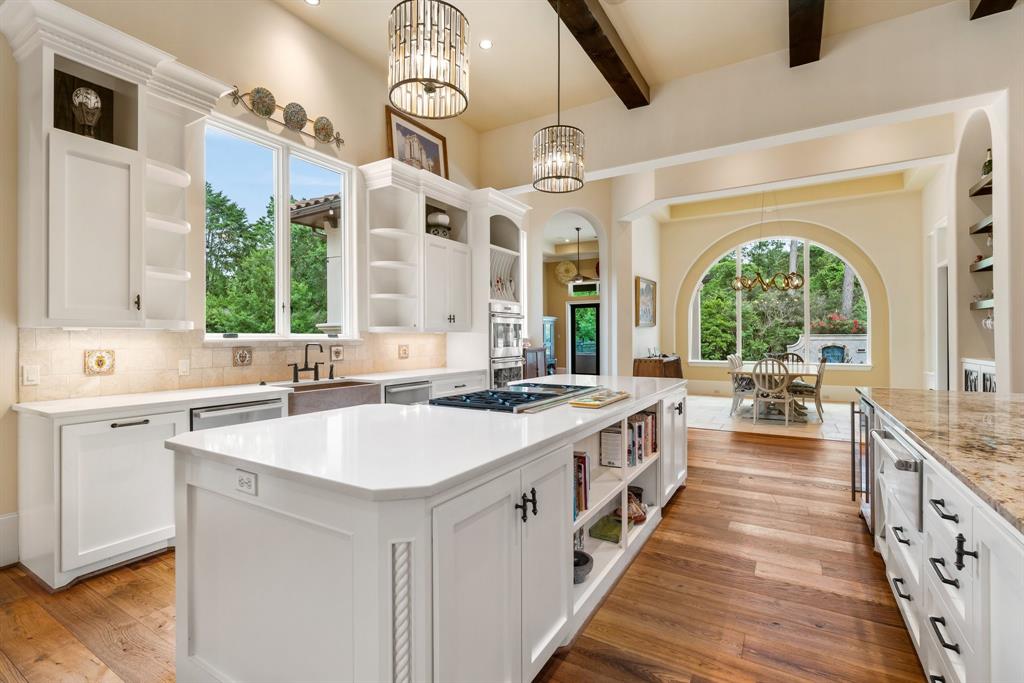 50 Silver Iris Way, The Woodlands, Texas image 12