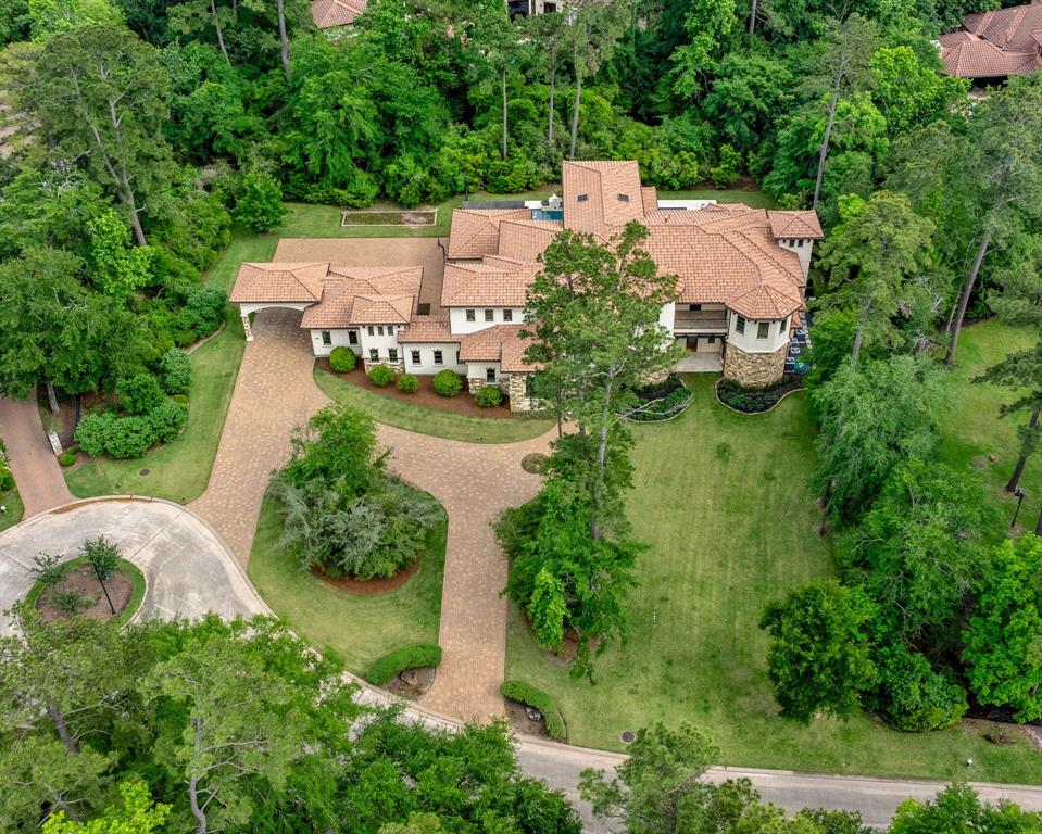 50 Silver Iris Way, The Woodlands, Texas image 1