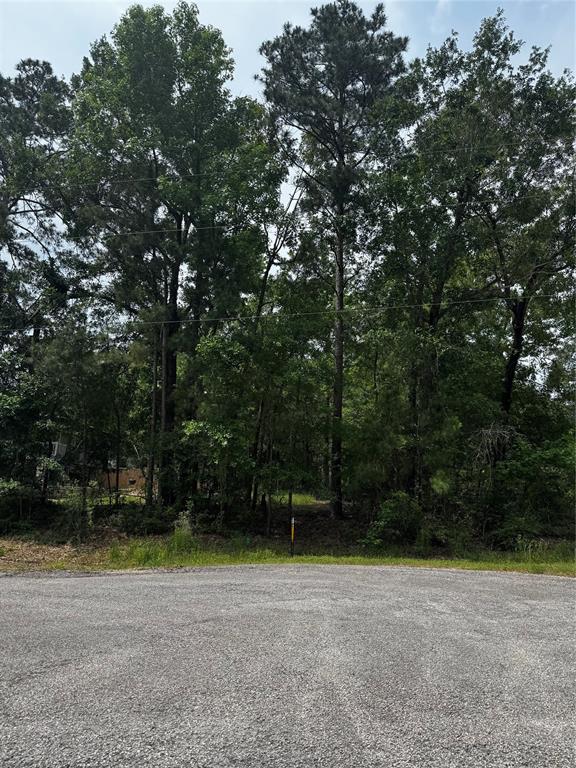 TBD Creekside Hbr, Onalaska, Texas image 3