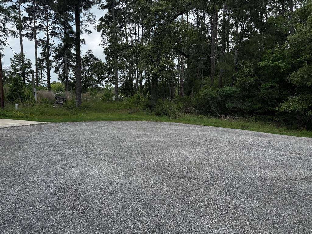 TBD Creekside Hbr, Onalaska, Texas image 1