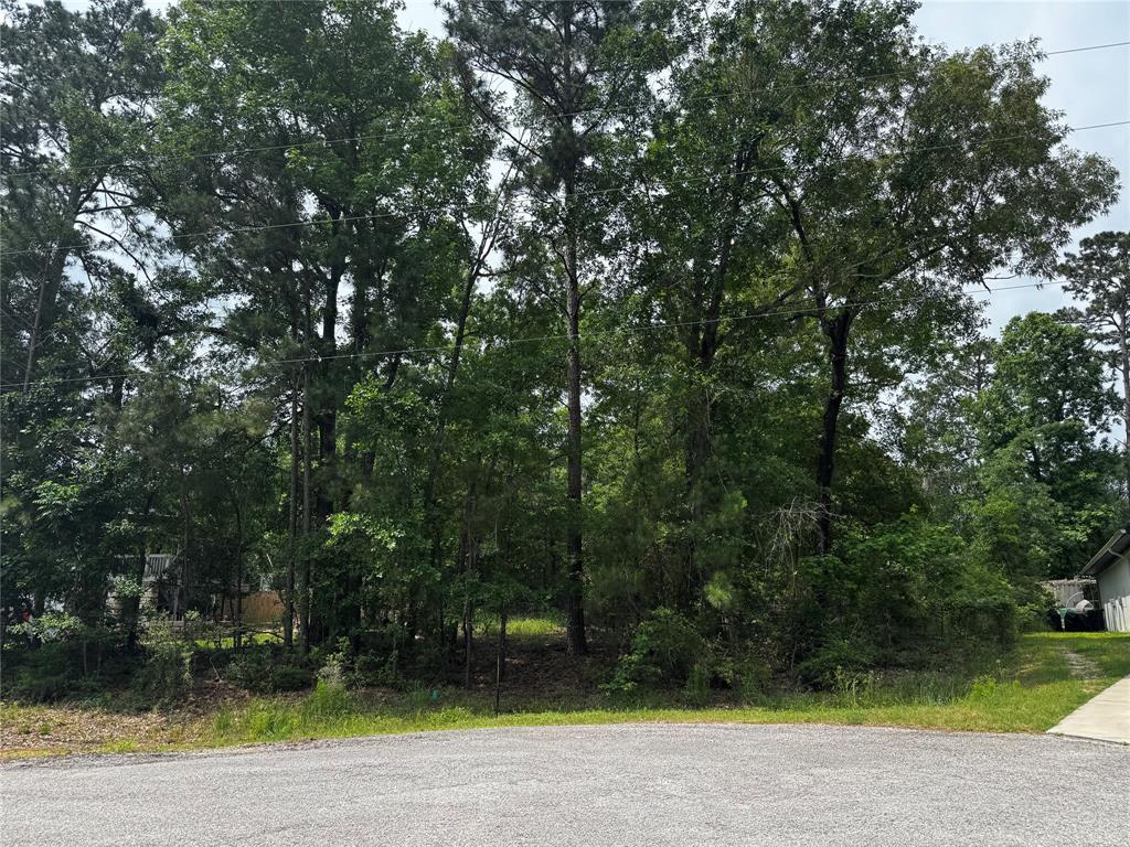 TBD Creekside Hbr, Onalaska, Texas image 2