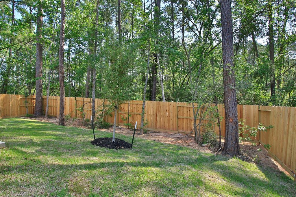 502 Cotton Patch Drive, Willis, Texas image 39