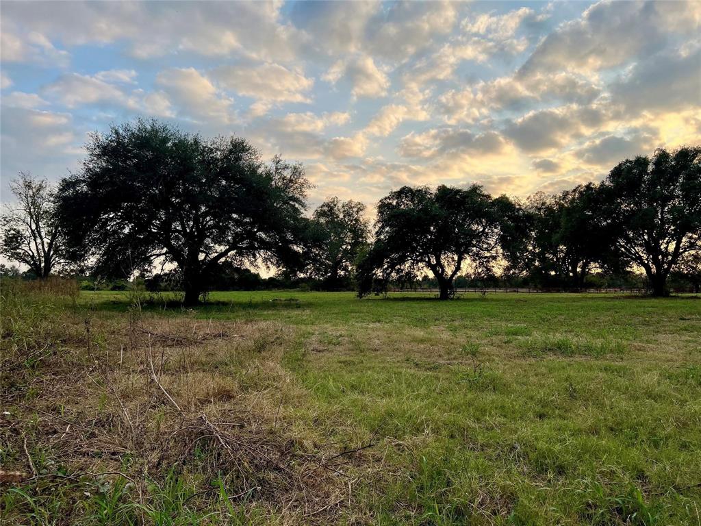 0000 River Ridge Road, Sealy, Texas image 5