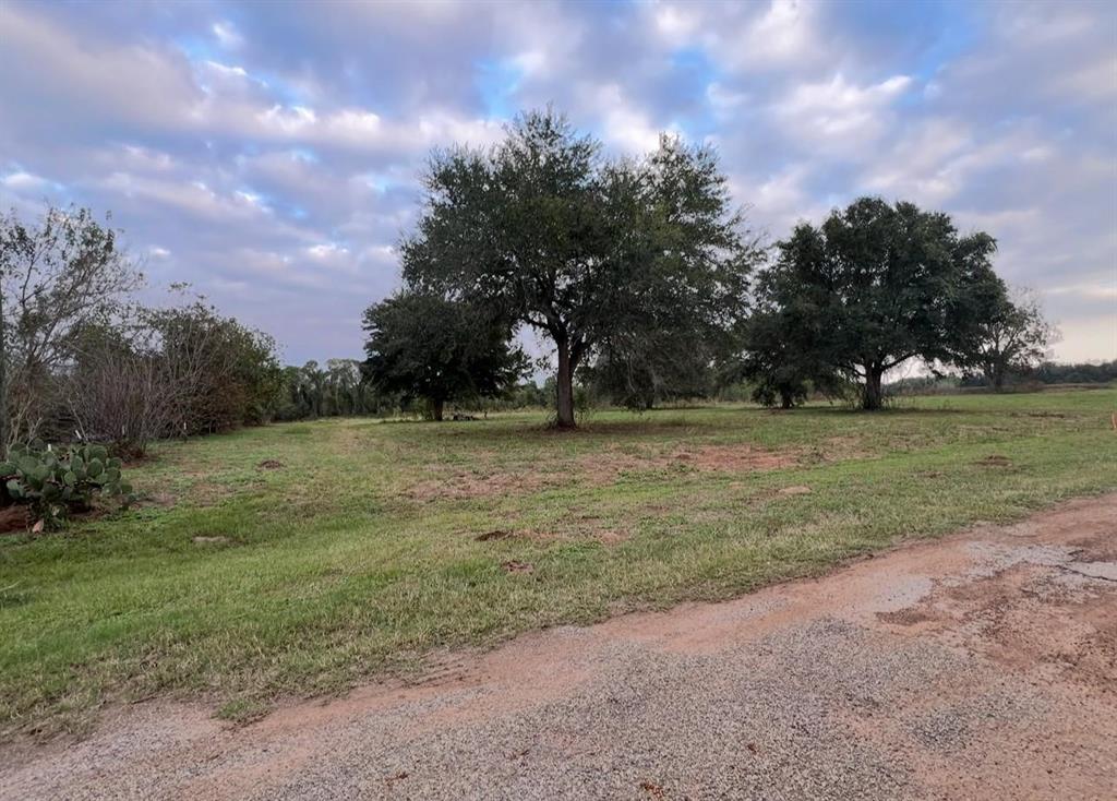 0000 River Ridge Road, Sealy, Texas image 6