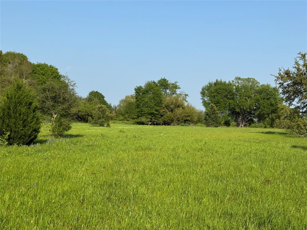 37355 Chapel Lane, Prairie View, Texas image 3