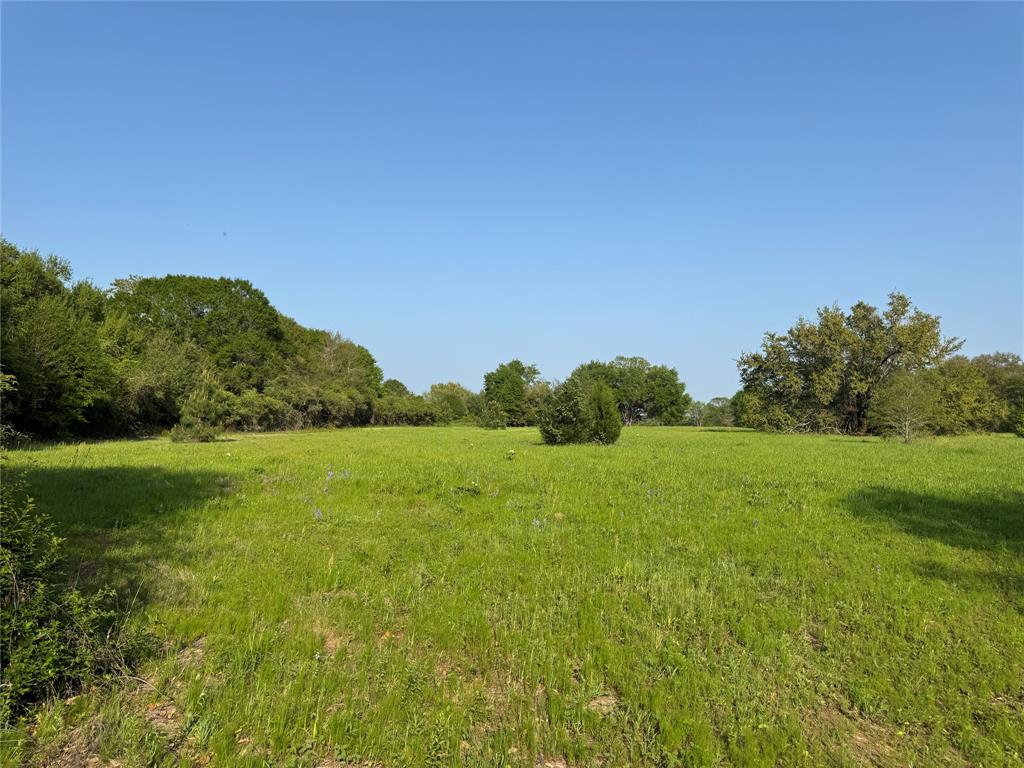37355 Chapel Lane, Prairie View, Texas image 5