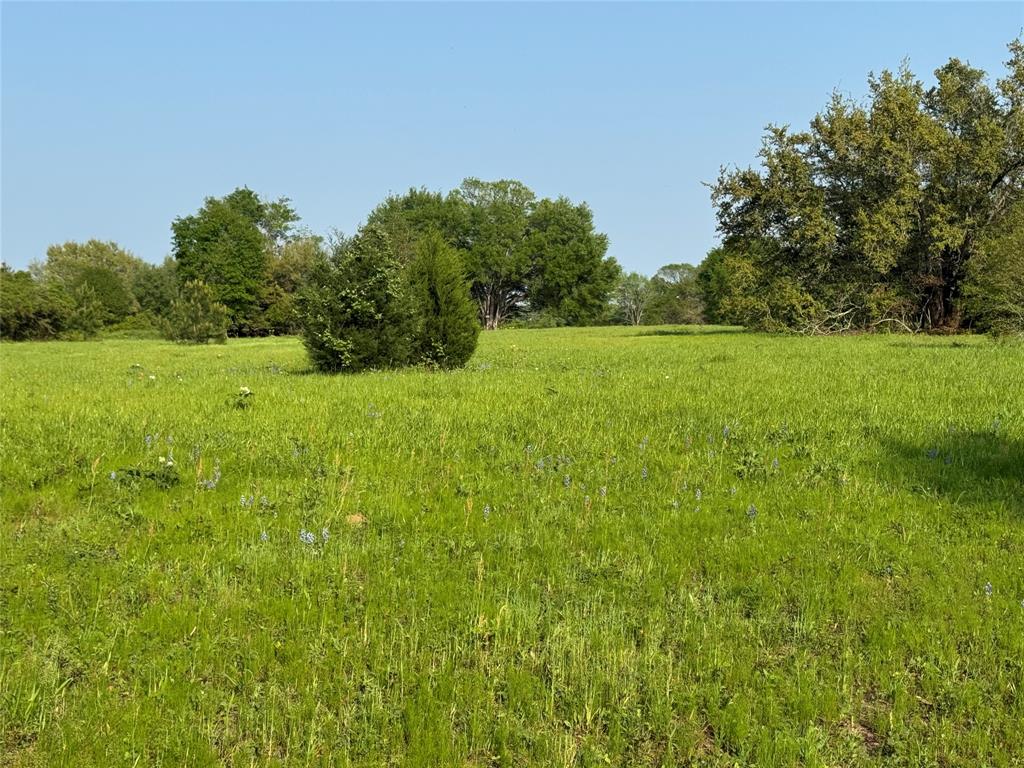 37355 Chapel Lane, Prairie View, Texas image 4
