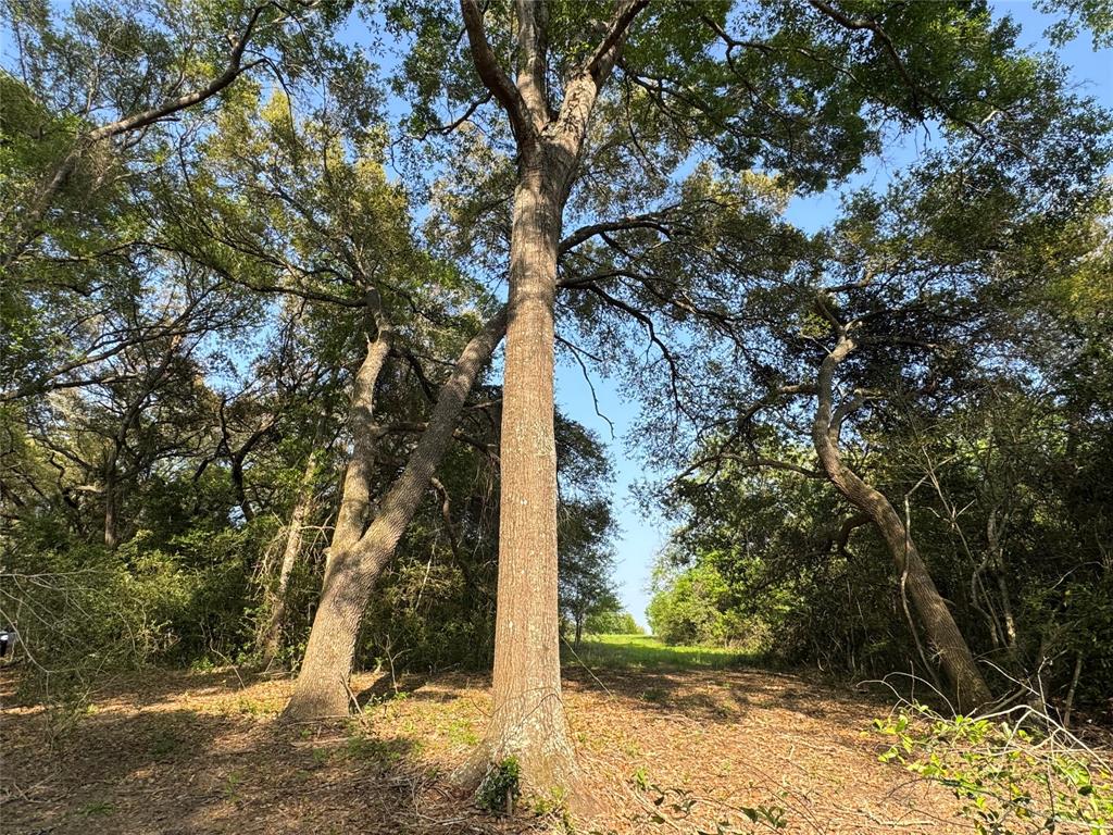 37355 Chapel Lane, Prairie View, Texas image 10