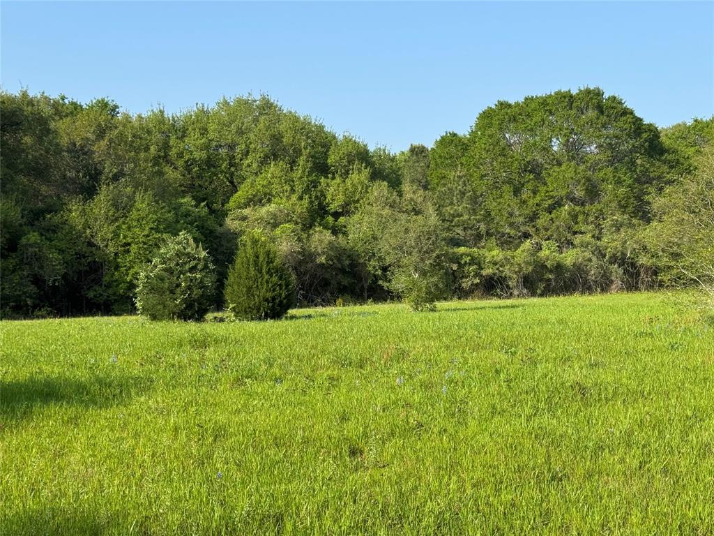 37355 Chapel Lane, Prairie View, Texas image 1