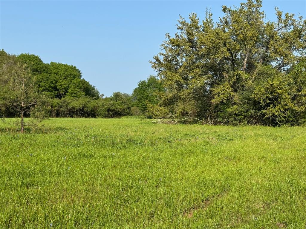 37355 Chapel Lane, Prairie View, Texas image 2
