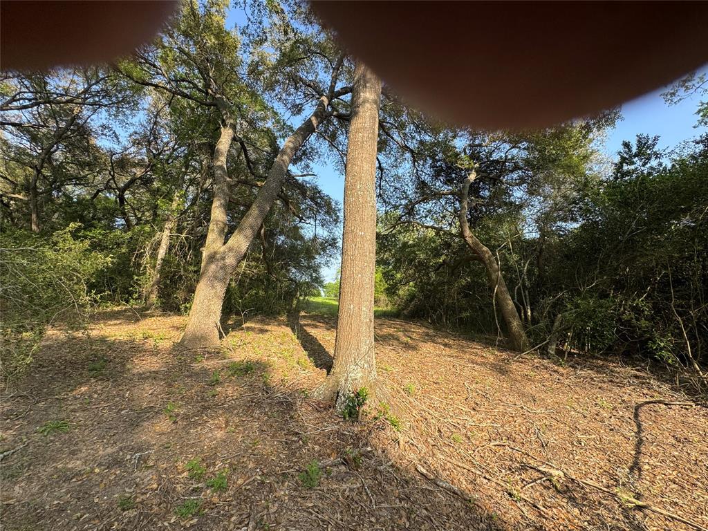 37355 Chapel Lane, Prairie View, Texas image 11