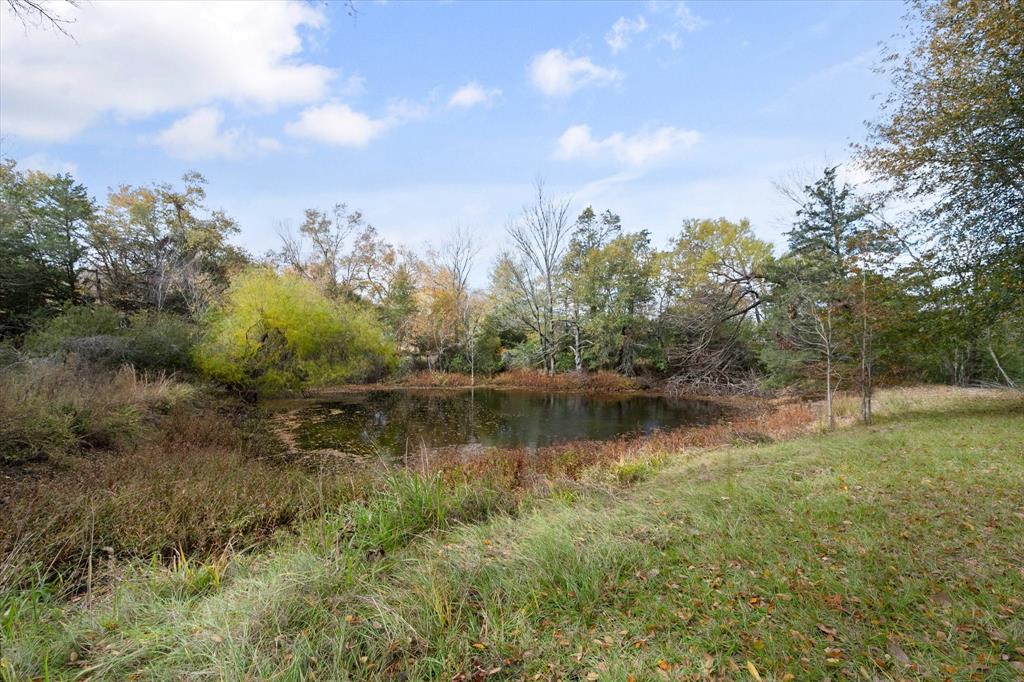 121 County Rd 540, Fairfield, Texas image 17